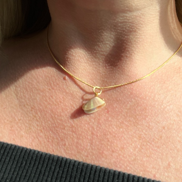 Coquiña shell pendant necklace locket with pearl - Picture 4 of 6